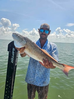Fishing in Yankeetown, Florida