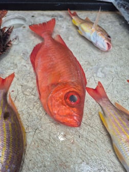 Fishing in Vero Beach, Florida