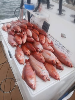 Fishing in Gulf Breeze, Florida