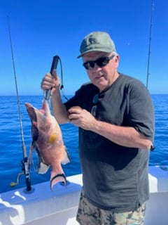 Fishing in Clearwater, Florida