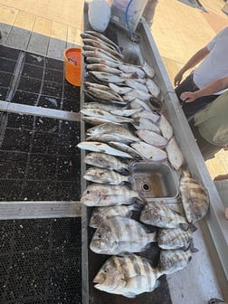 Fishing in Lake Charles, Louisiana