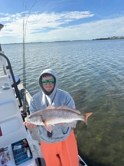 Fishing in Bradenton, Florida