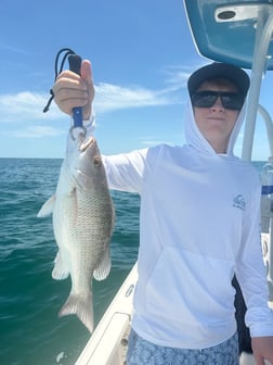 Fishing in Largo, Florida