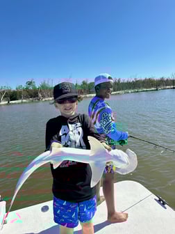 Fishing in Naples, Florida