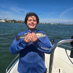 Fishing in Sarasota, Florida
