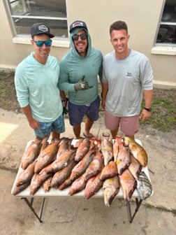 Fishing in Tarpon Springs, Florida
