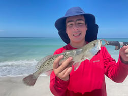 Fishing in Sarasota, Florida