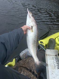 Fishing in Beaufort, North Carolina