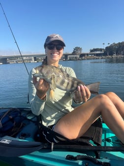 Fishing in San Diego, California