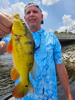 Fishing in Fort Lauderdale, Florida