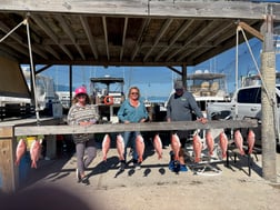 Fishing in South Padre Island, Texas