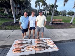 Lane Snapper, Mangrove Snapper, Red Grouper Fishing in