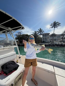 Fishing in Sarasota, Florida