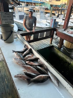 Fishing in Haleiwa, Hawaii