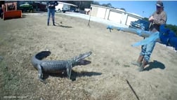 Hunting in St. Augustine, Florida