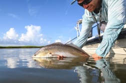 Redfish fishing in Wrightsville Beach, North Carolina