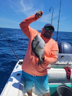 Fishing in Wrightsville Beach, North Carolina
