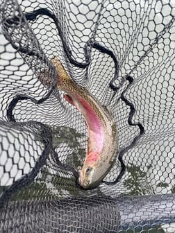 Fishing in Florence, Oregon
