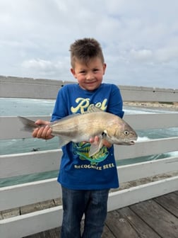 Fishing in San Diego, California