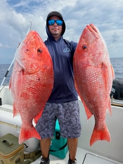 Fishing in Panama City, Florida