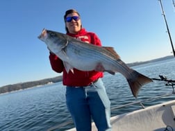 Fishing in Rogers, Arkansas