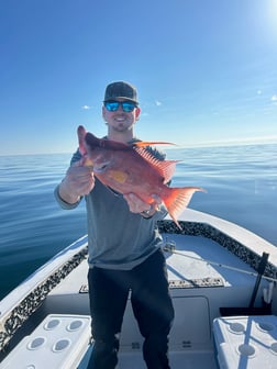 Fishing in St. Petersburg, Florida