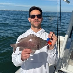 Fishing in St. Petersburg, Florida