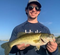 Peacock Bass Fishing in Palmetto Bay, Florida