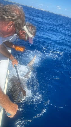Fishing in Pompano Beach, Florida