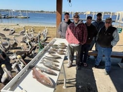 Fishing in Jacksonville, Florida