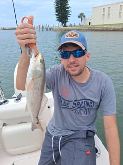 Fishing in Clearwater, Florida