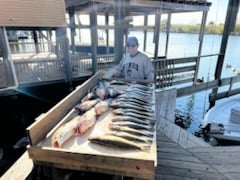Fishing in New Orleans, Louisiana