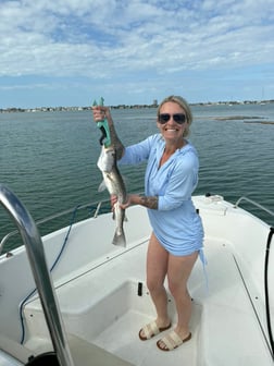 Fishing in Sarasota, Florida