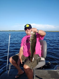 Fishing in Kissimmee, Florida