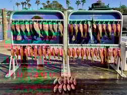 Fishing in Shalimar, Florida