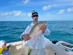 Yellowtail Snapper Fishing in Marathon, Florida