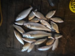 Fishing in Kingston, Oklahoma