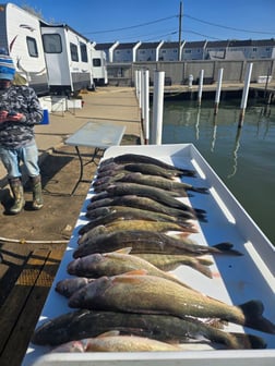 Fishing in Wyandotte, Michigan