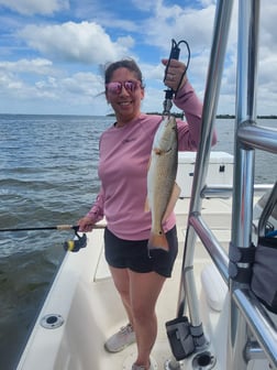 Fishing in Holmes Beach, Florida