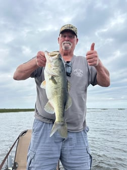 Fishing in Okeechobee, Florida