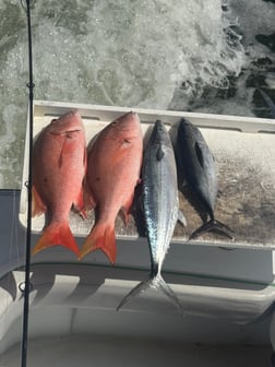 Fishing in Fort Lauderdale, Florida