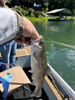 Fishing in Heber Springs, Arkansas