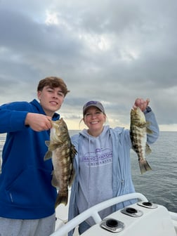 Fishing in Long Beach, California