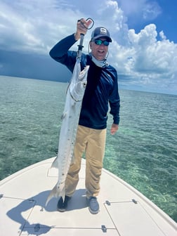 Barracuda Fishing in Key West, Florida