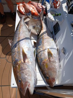 Fishing in Gulf Breeze, Florida