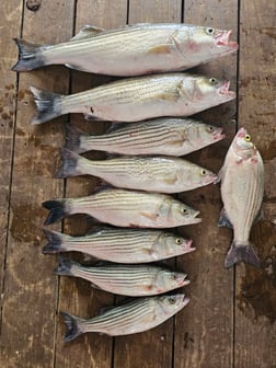 Fishing in Kingston, Oklahoma