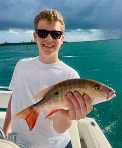 Fishing in Miami, Florida