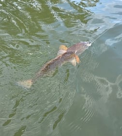 Fishing in North Charleston, South Carolina