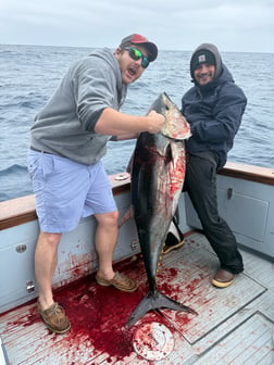 Fishing in San Diego, California