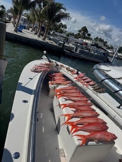Fishing in Placida, Florida